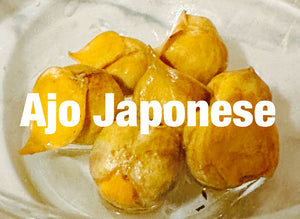 Ajo Japonese - Protection Garlic /mojo/Gris Gris/altars/spells/car protection/home/window seals- Heavy Protection