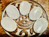 Bone worry Stone/ Clear & Orange Selenite palm stone- Healing   clearance   wisdom   peace   remove worry   remove anxiety   helps depressive thoughts and energy /obstacle breaker/ Protection