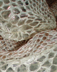Snake skin- Revenge, Destruction, weaken bind compel- Full bag - Majicden