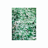 Sweet Majic Rice-(Red Green/New sweet yellow)-2oz love/money/Sweetness  use on altar as offering / under rugs in spells and ritual for love or money/New-Sweet rice-Starting 1/23/20-Larger size /2oz more now you get 4oz - Majicden