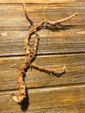 Devil Shoestring Whole Roots  -#1 Must have roots  protection/ Trip up enemies/ Tie them to their evil/ Great herbs for gambling/ winning/ luck / good fortune / new jobs / career / used thick pieces to make wands to help your spells stay shielded- Multi