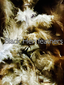 Black hen feathers- use in ritual to break off heavy curses/ uncrossing/ jinx remover/ stop spiritual attacks/ end nasty witchcraft / stop witches attacking you