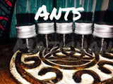 Red/Black  dead ants or Scorpions-destruction payback revenge etc