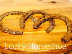 Good luck horse shoe/ Home protection / luck / security/ business / wealth 3”- Drop menus has 3 different types