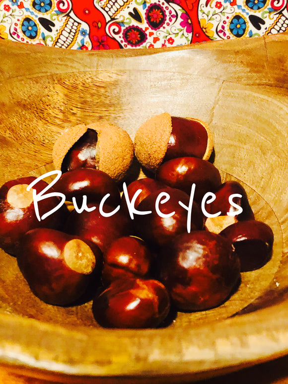 Buckeyes - luck good fortune casino winning, add to mojo bags jars and altars