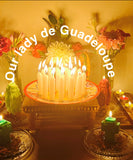 Group Service Gallery- View weekly photos( photos inside) Dont add this to your cart )