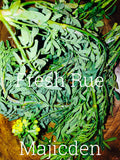 Bay rum  leaves (or Sun dried ) and other fresh leaves / make rum mixes / oil / spiritual water/ also available- lemon leaves/ all spice / abre Camino / cinnamon fresh leaves Rue leaves fresh (I have dry and fresh)Make your Spring baths