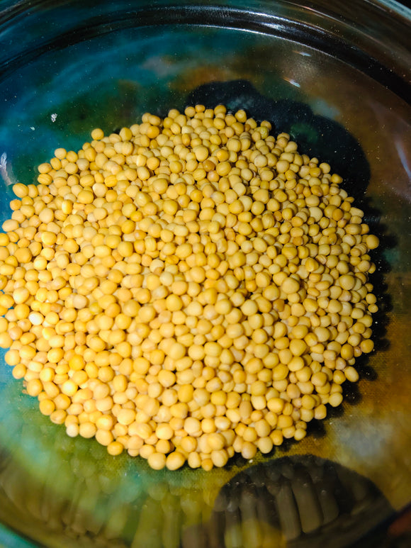 Yellow mustard seeds - protection / shield/ guard / - Majicden