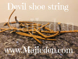 Devil shoe string pieces -#1 Must have roots  protection/ Trip up enemies/ ties them to their evil/ Great herbs for gambling/ winning/ luck / good fortune / new jobs / career / used thick pieces to make wands to help your spells b shielded - Majicden