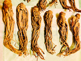 ✨Whole Master Root - /Also known as Masterwort/Rulers wort- wisdom/ courage powerful protective strengthening Root- master all that’s put in your path-powerful protective strengthening root /Master all things - large long Roots(drop down menu )