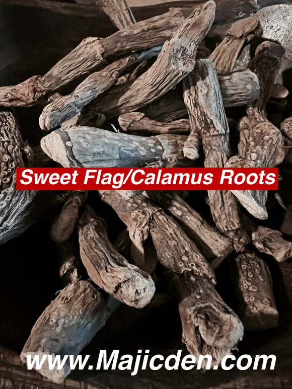 Calamus Root/Sweet flag  used to control/ manipulate and dominate lovers / Sweet flag / court cases/ relationships/ work/ business / domination rituals/ Heavier control / Strongest controlled root