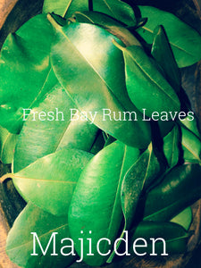 Bay rum  leaves (or Sun dried ) and other fresh leaves / make rum mixes / oil / spiritual water/ also available- lemon leaves/ all spice / abre Camino / cinnamon fresh leaves Rue leaves fresh (I have dry and fresh)Make your Spring baths