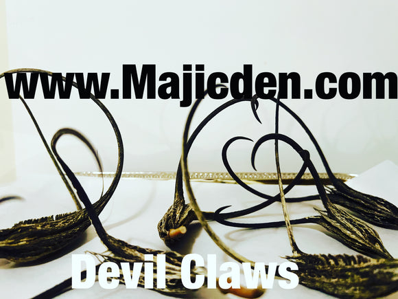 Devil claw- powerful protection root- protect against evil/ low vibration / remove negativity / block out enemies influences
