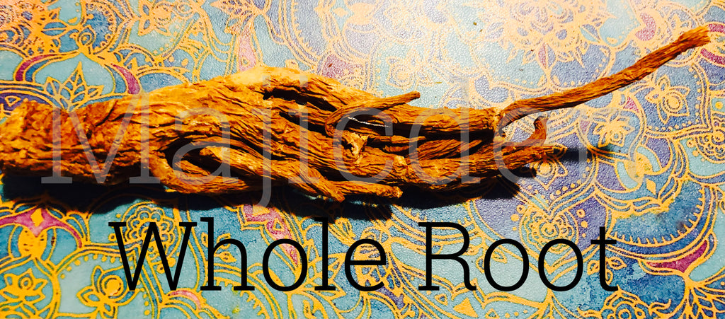 Key Root Master image_d3fff15f-1063-41fa-b4e4-b8018455b5af_1024x1024.jpg?v=1690568898