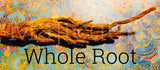 ✨Whole Master Root - /Also known as Masterwort/Rulers wort- wisdom/ courage powerful protective strengthening Root- master all that’s put in your path-powerful protective strengthening root /Master all things - large long Roots(drop down menu )
