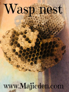 Wasp nest - Success/ Better Business/ Improve clients / draw in abundance and longevity etc - Majicden