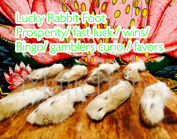 Rabbit foot -Good Luck /Good Fortune/bingo /mojo bags  /casino /blessing at work /business/abundance and prosperity