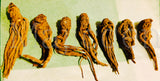 ✨Whole Master Root - /Also known as Masterwort/Rulers wort- wisdom/ courage powerful protective strengthening Root- master all that’s put in your path-powerful protective strengthening root /Master all things - large long Roots(drop down menu )