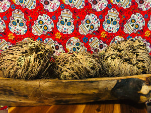 Rose of Jericho-renewal, clarity , wisdom , change, blessings , ancestors . Spirits