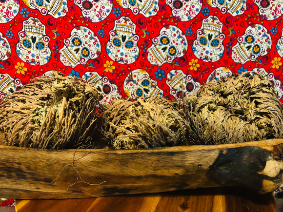 Rose of Jericho-renewal, clarity , wisdom , change, blessings , ancestors . Spirits