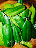 Bay rum  leaves (or Sun dried ) and other fresh leaves / make rum mixes / oil / spiritual water/ also available- lemon leaves/ all spice / abre Camino / cinnamon fresh leaves Rue leaves fresh (I have dry and fresh)Make your Spring baths